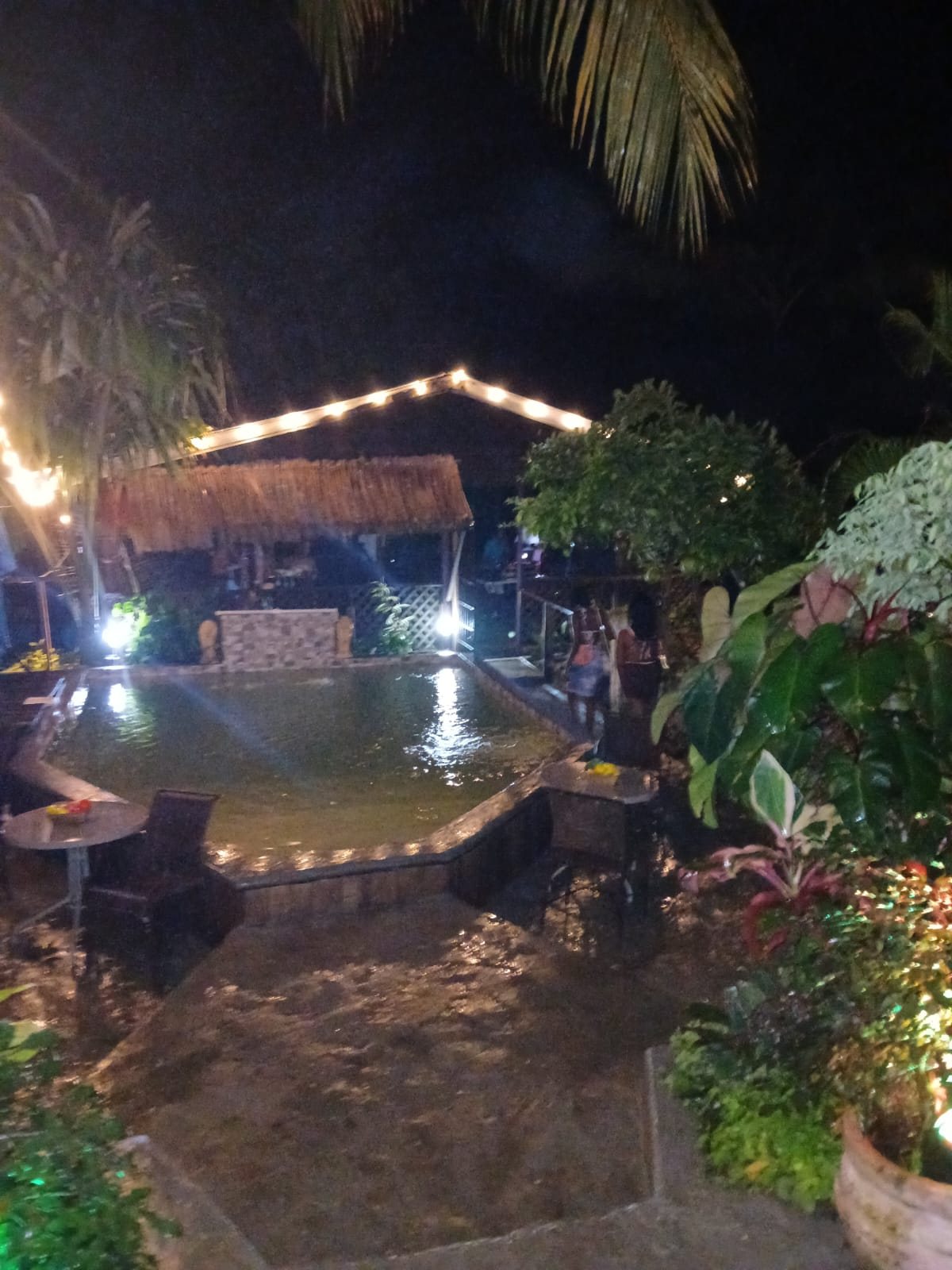 Rainforest Creole Park evening atmosphere