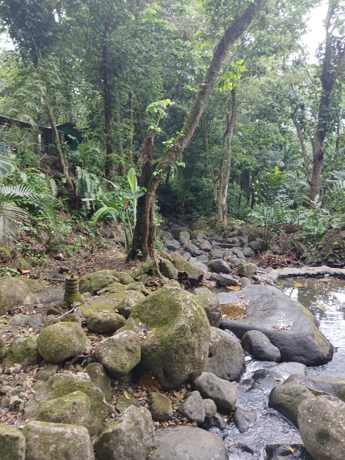 Natural stream and rocks on the property