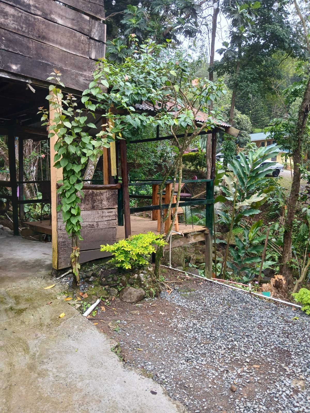 Garden walkway beside rustic structure